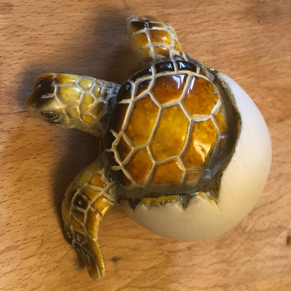 Meet your Posher, Mirriam - Picture 1 of 1